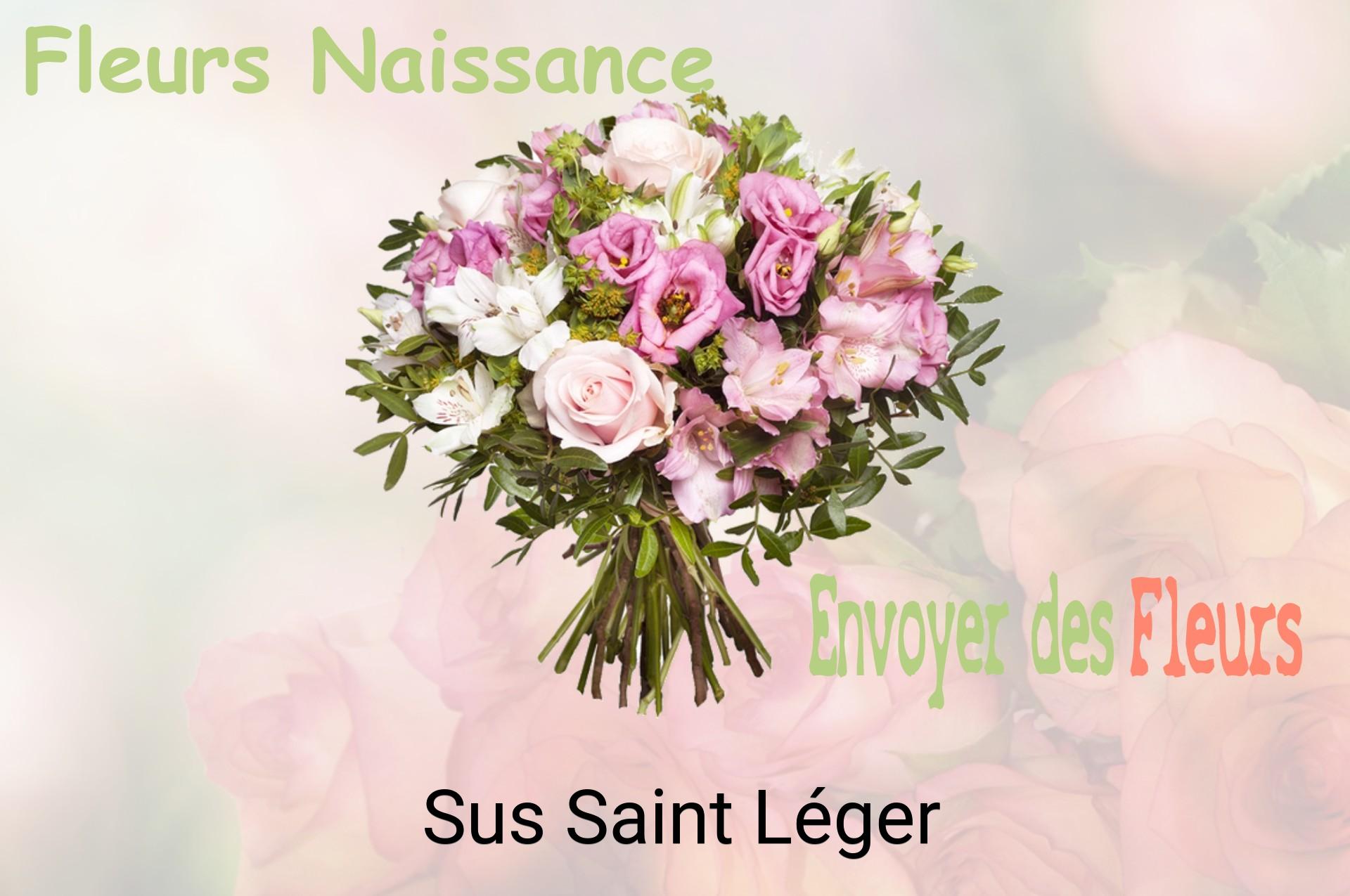 Bouquet de fleurs de naissance livré à Sus-Saint-Léger